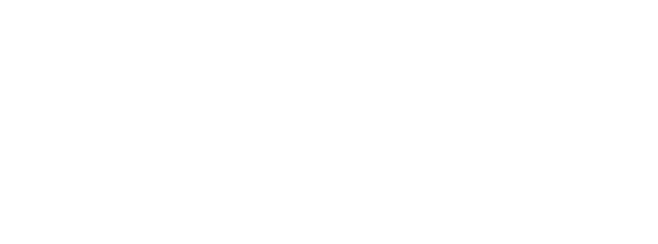 BWB-logo-white BWB-logo-white